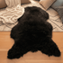 Waterford Sheepskins Sheepskin Rug - Rare Breed