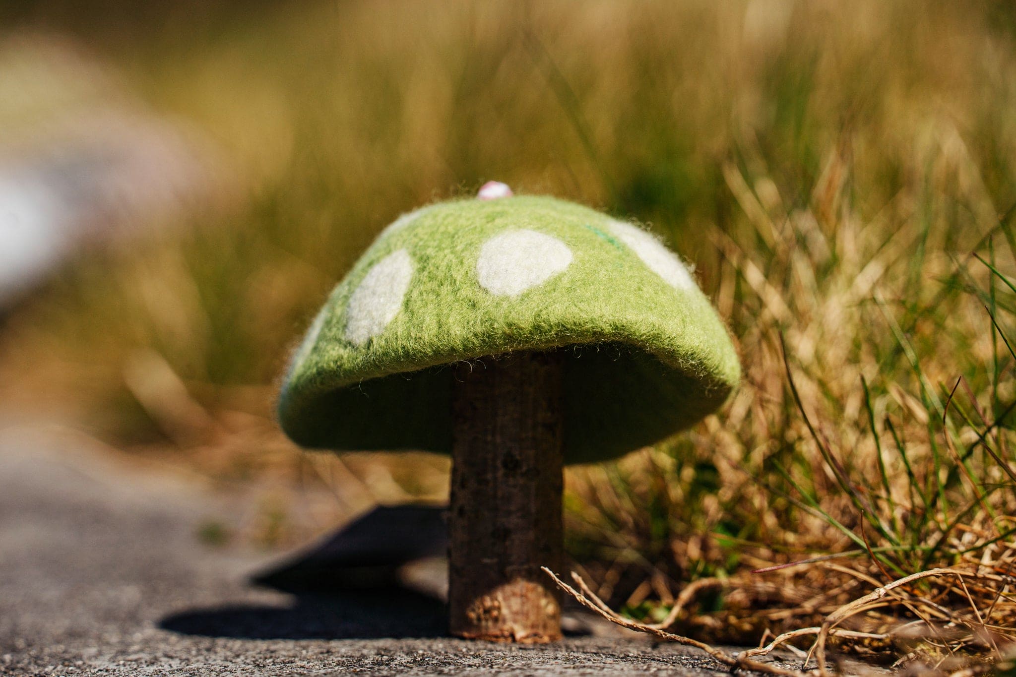 Tamzen Lundy Designs Green Tamzen Lundy Designs - Rainbow Toadstools