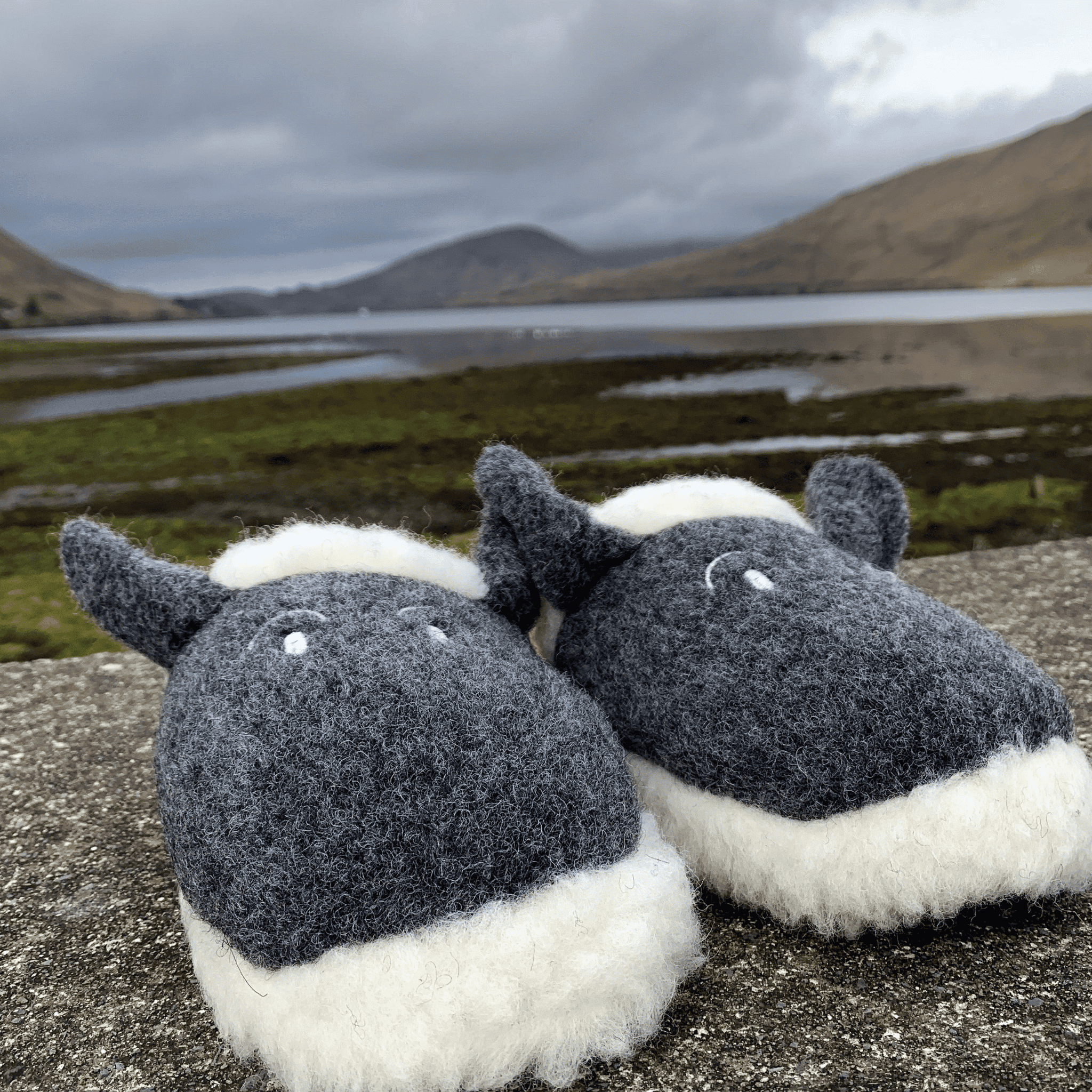 Yoko Wool slippers - Lamy