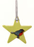 Robin Star Decoration - Green