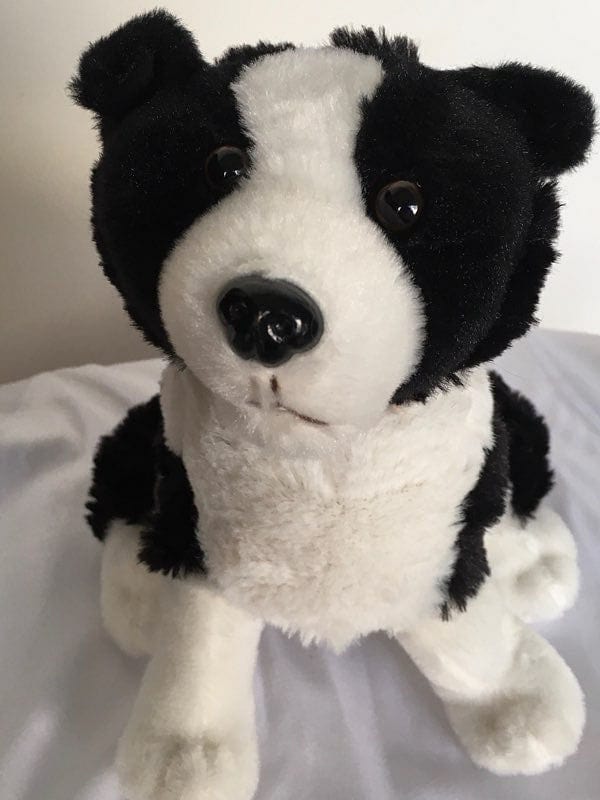 Cuddles Galore Sheepdog Teddy